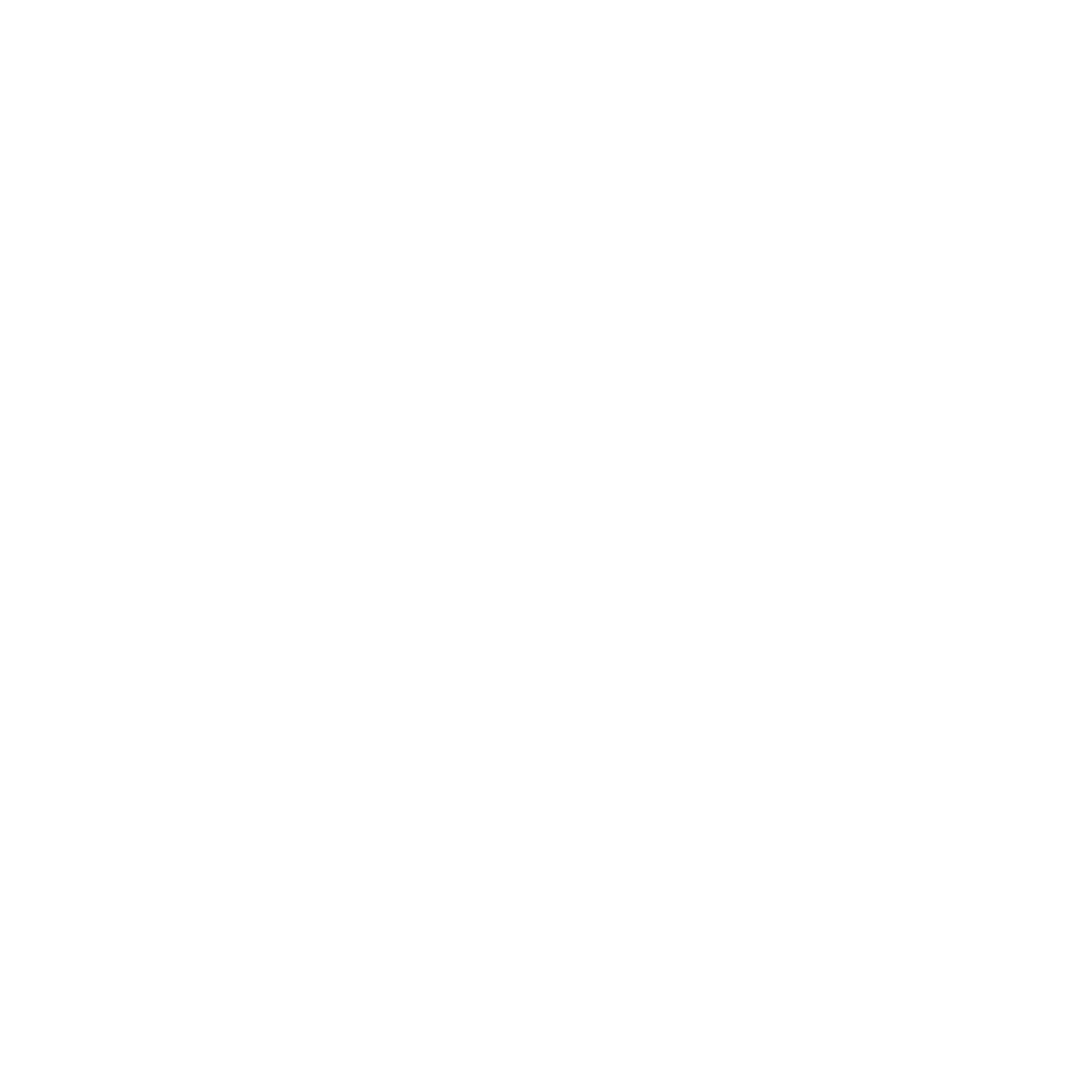 Barco vikingo